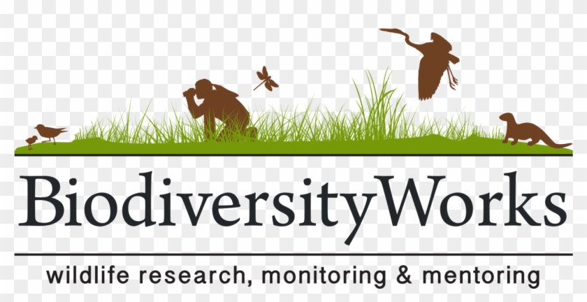 Wildlife Research, Monitoring, And Mentoring - Yale University Clipart