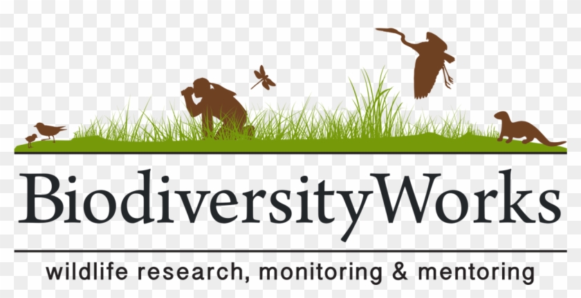 Wildlife Research, Monitoring, And Mentoring - Yale University Clipart #1131013