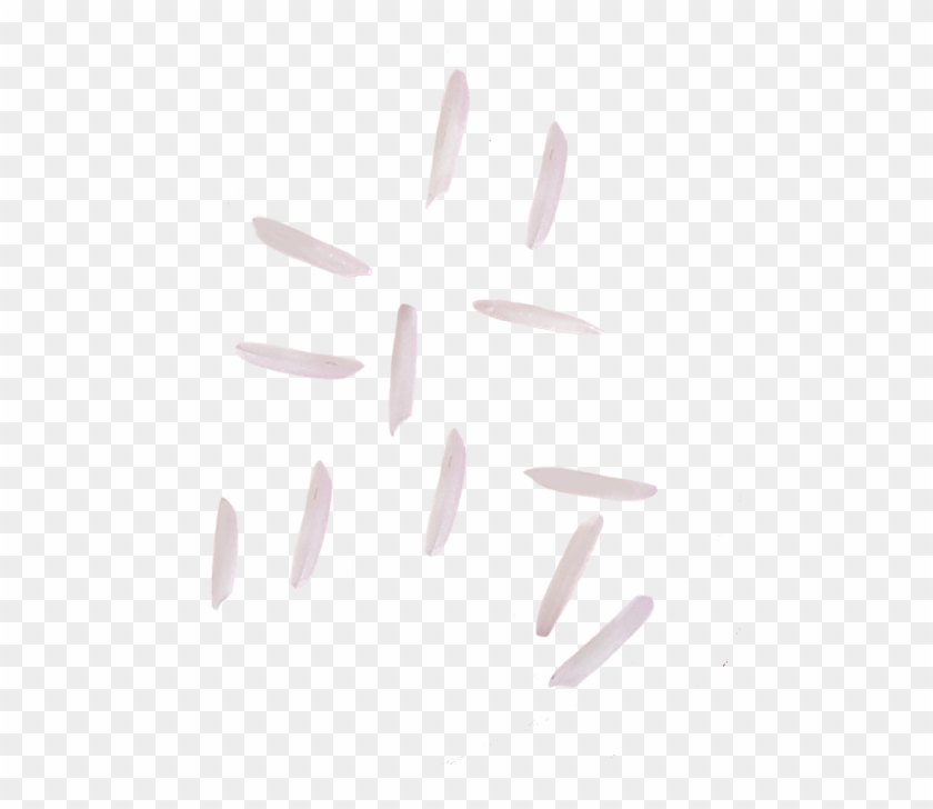 Developed By The Indian Agricultural Research Institute - Knife Clipart #1131510