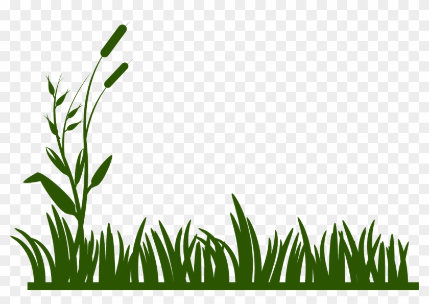 Grass Background Green Png Image - Border Grass Clipart Transparent Png #1132025