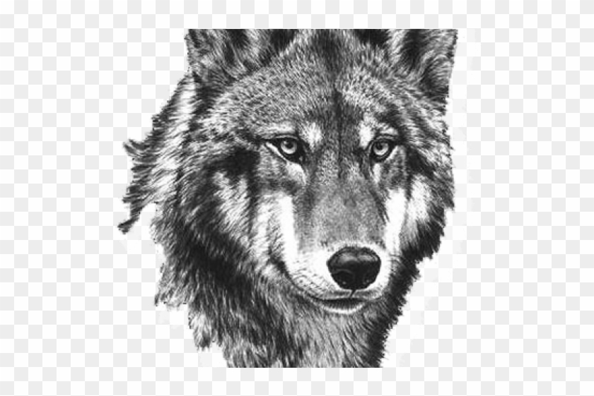 White Wolf Clipart Small Wolf - Tattoo Mgeli - Png Download