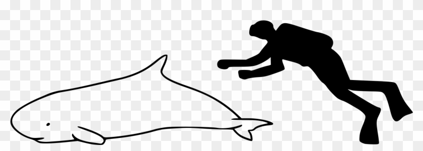 Open - Dwarf Sperm Whale Size Clipart #1134615