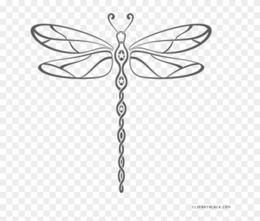 Insect A Drawing Transprent Png Moths Butterflies - Clip Art Purple Dragonfly Transparent Png