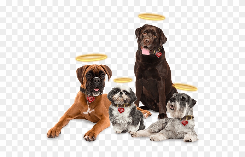 Be An Angel - Labrador Retriever Clipart