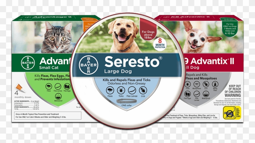 Flea And Tick Prevention Products - Companion Dog Clipart