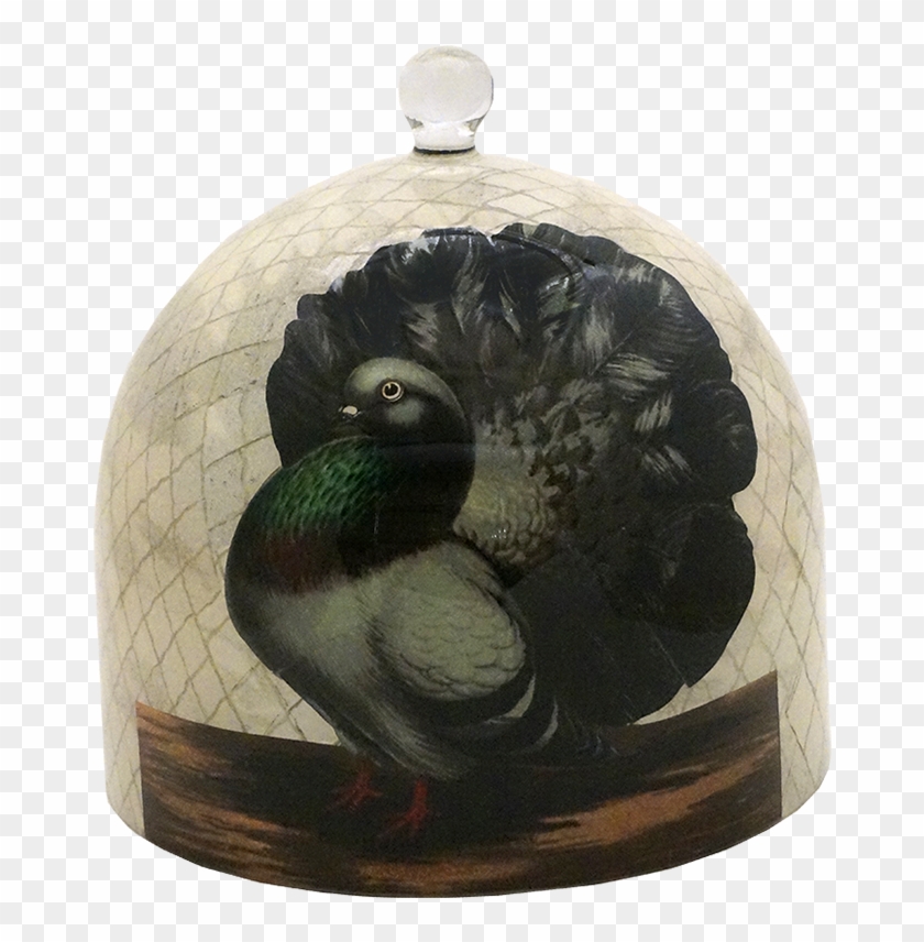 Pigeon Png Clipart #1135832