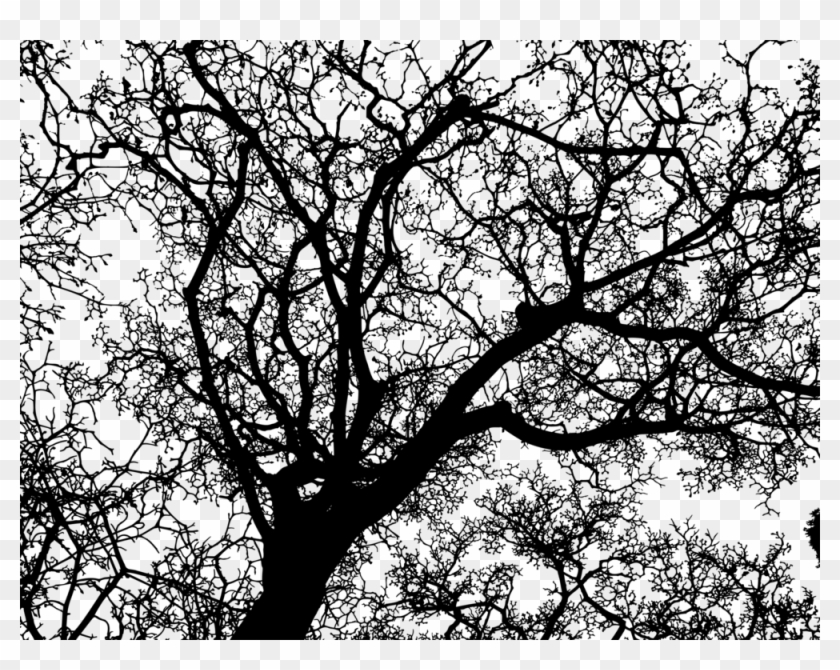 Tree, Branches, Aesthetic, Gnarled, Arid, Dark, Log - Cognitive Psychology Png Clipart #1136244