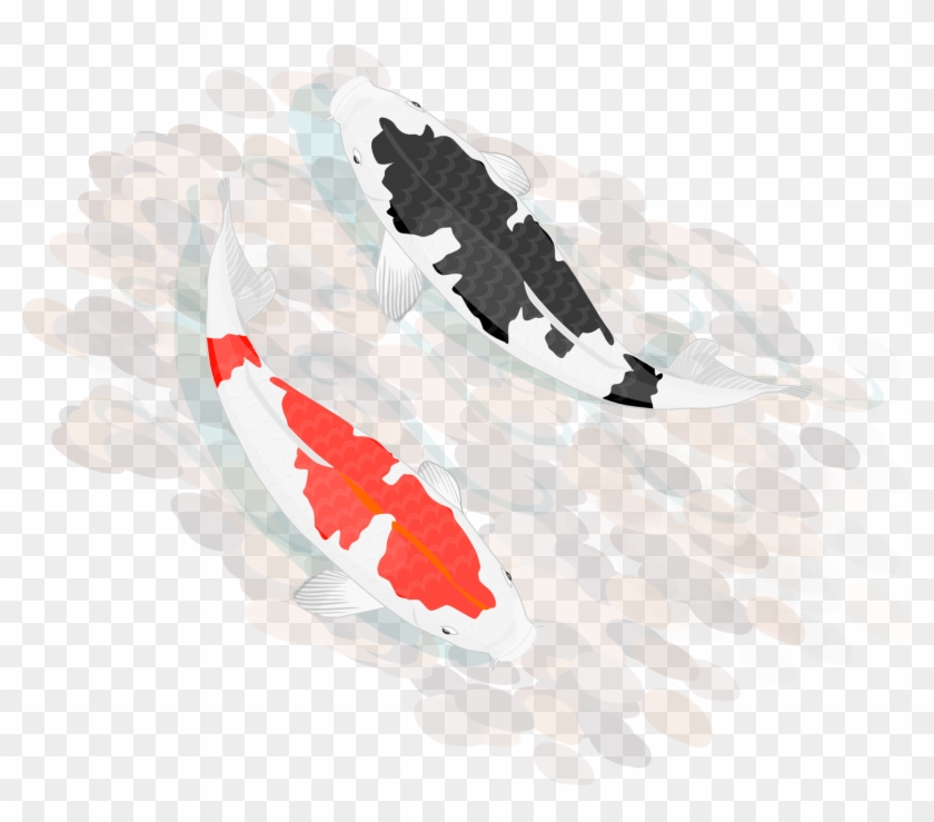 Koi Carp, Clip Art, Greeting Cards, Card Making, Card - Koi Fish Hd Transparent - Png Download
