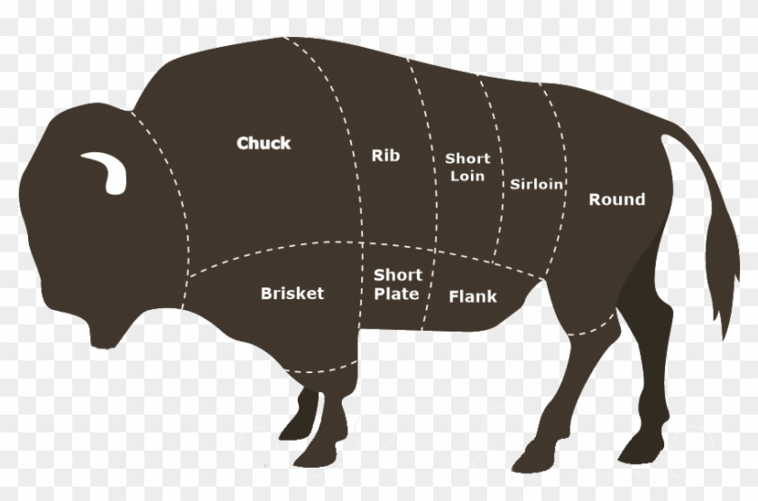 Bison Meat Cuts - Bison Meat Clipart #1137290
