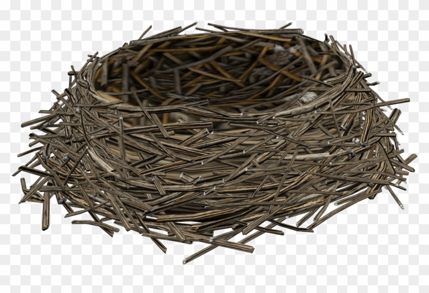 Bird Nest Png - Birds Nest Clipart