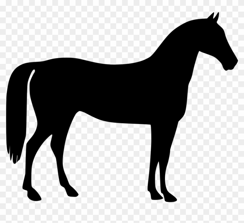 Horse Head Vector Png - Horse Vector Clipart #1139027