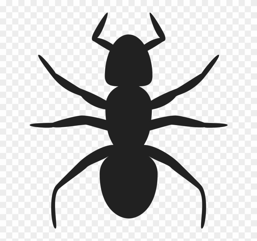 546 X 596 8 - Ant Clip Art - Png Download #1139192