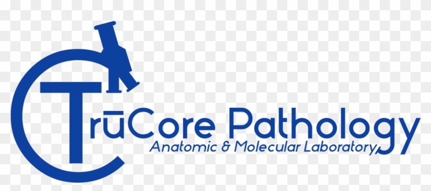 Graphic Design Clipart