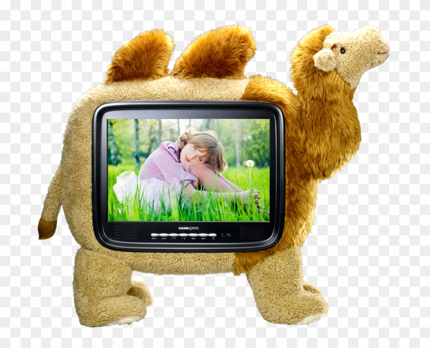 Hannscamel 19″ Tv - Hannspree Fernseher Clipart