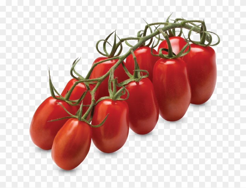 Mini San Marzano Vine Tomatoes - Tomato Clipart #1142010