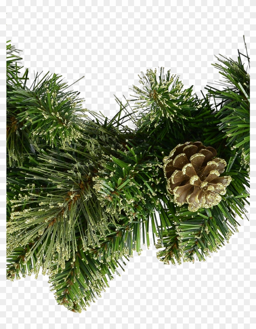 Natural Look Pine Wreath With Pine Cones & Lightly Clipart #1142551