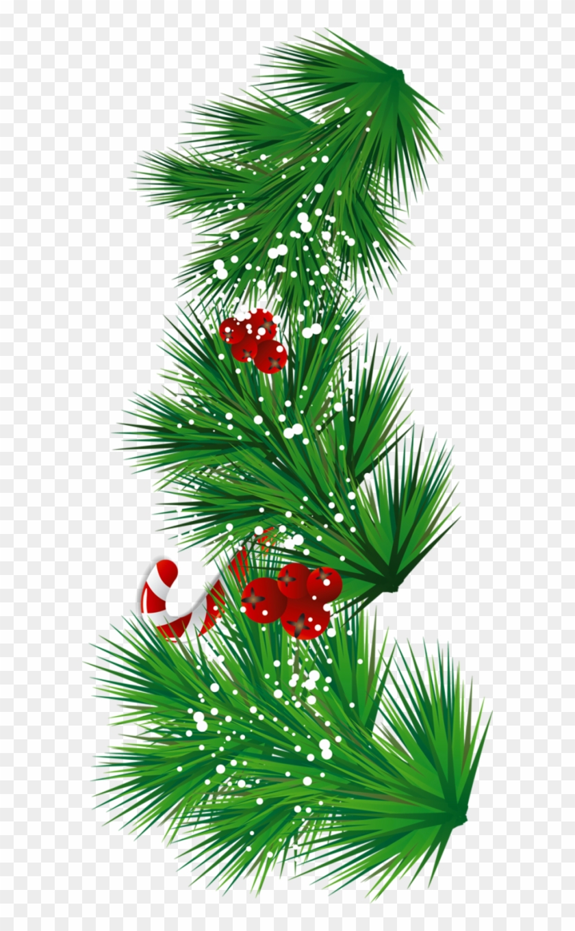Branch Clip Art Scrapbook Images Pinterest Transparent - Mistelzweig Png