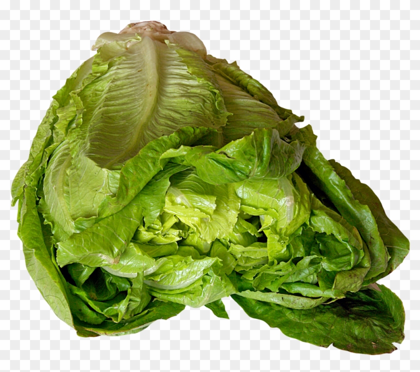 Free Png Download Lettuce Png Images Background Png - Lettuce Clipart #1142899
