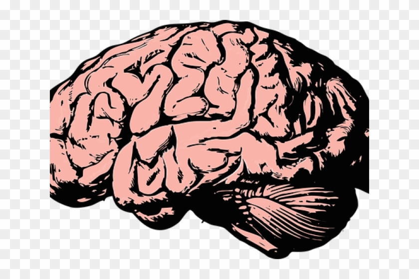 Brain Clipart Transparent Background - Brain Vector - Png Download