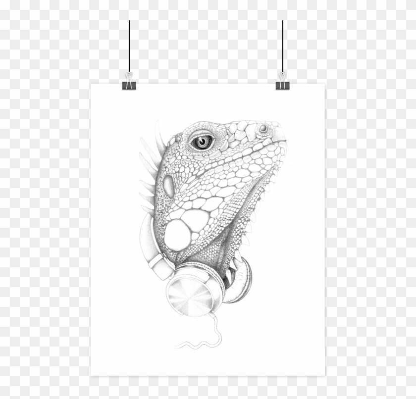 Boas Grafik Rockøgle Art Print - Illustration Clipart