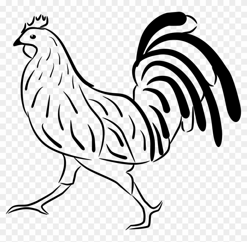 Clip Arts Related To - Petelin Pobarvanka - Png Download