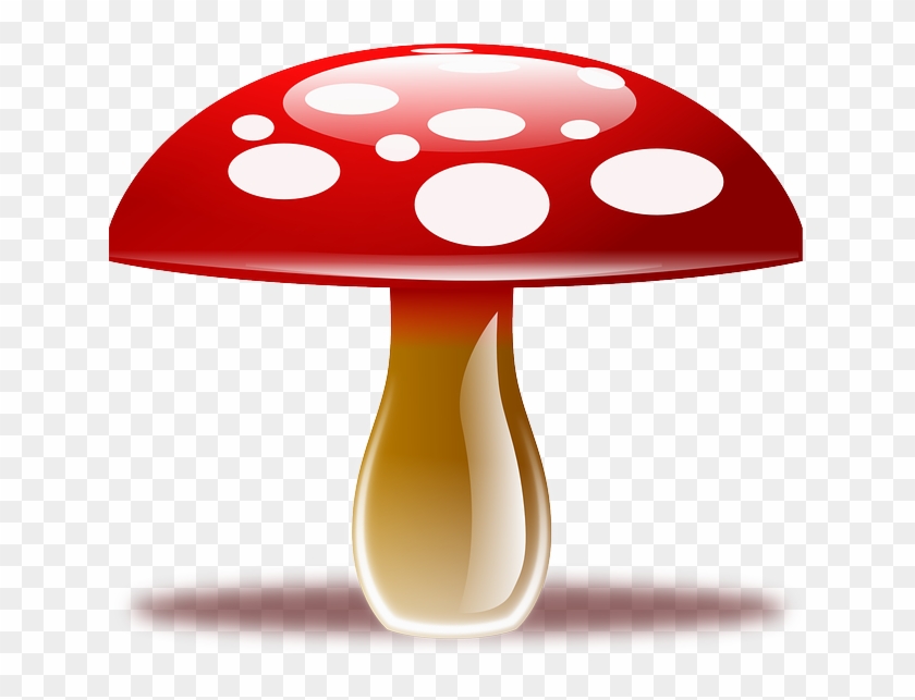 Amanita Muscaria, Fly Agaric, Fungus, Fly Amanita - Mushroom Clipart Png Transparent Png #1145350