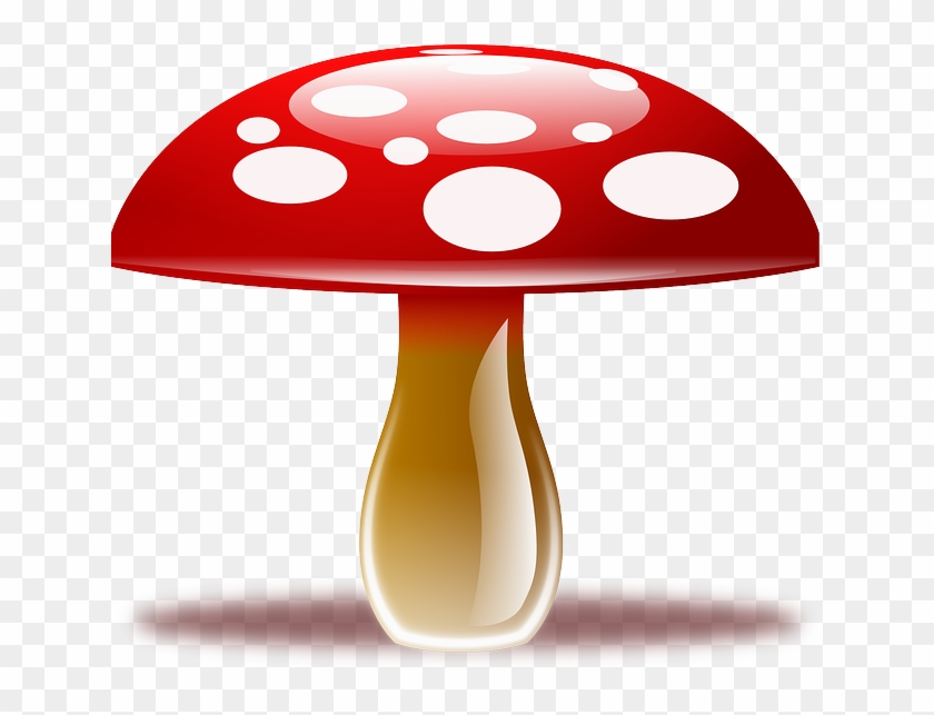 Amanita Muscaria, Fly Agaric, Fungus, Fly Amanita - Mushroom Clipart Png Transparent Png