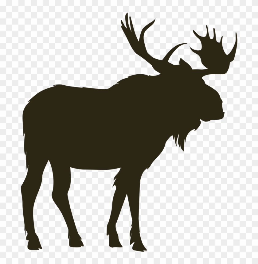 Image Free Library Vector Head Eland - Moose Silhouettes Clipart #1146259