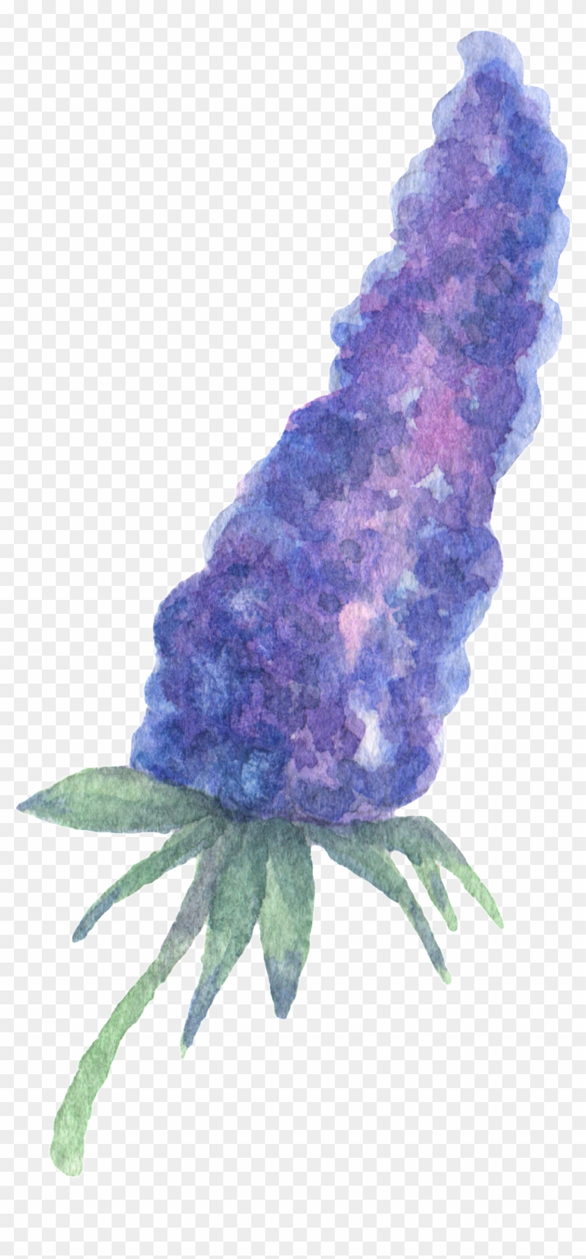 Hand Painted Purple Plant Flower Watercolor Transparent Clipart
