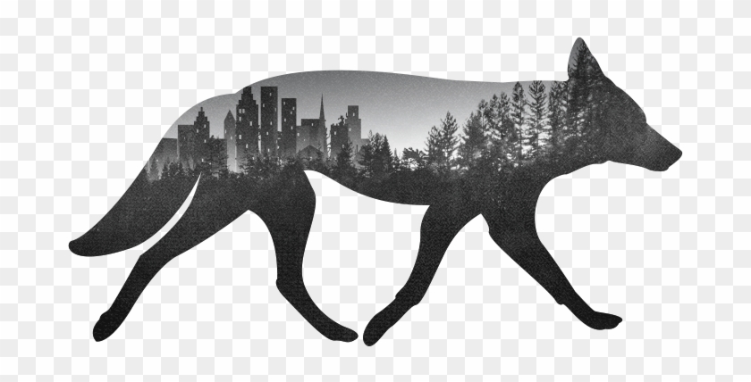 Urban Coyote Initiative, Llc - Denver Urban Coyote Clipart