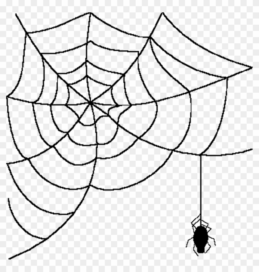 Cartoon Spider With Web , Png Download - Transparent Spider Web Clipart