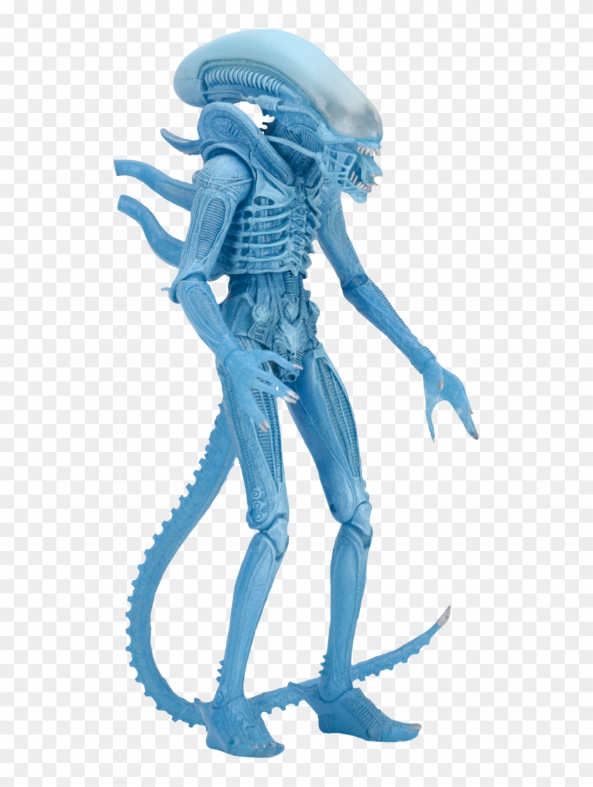 Warrior Alien Kenner Action Figure - Neca Blue Alien Warrior Clipart #1150312