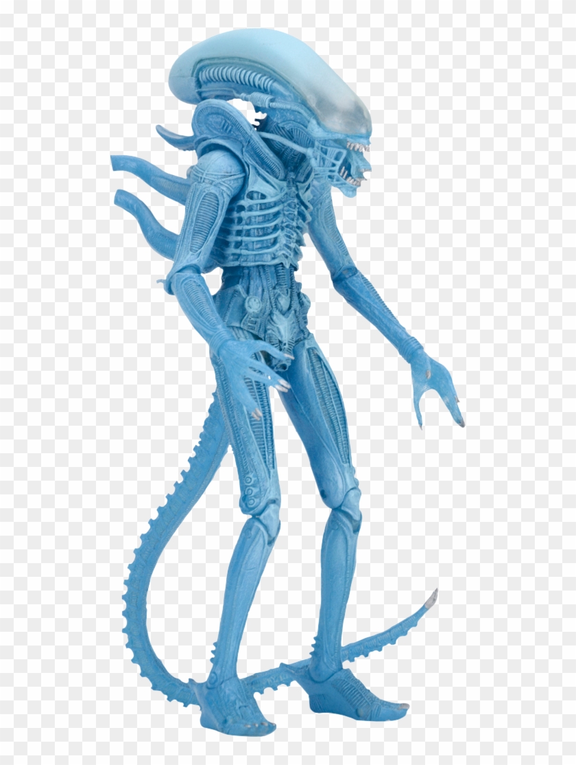 Warrior Alien Kenner Action Figure - Neca Blue Alien Warrior Clipart