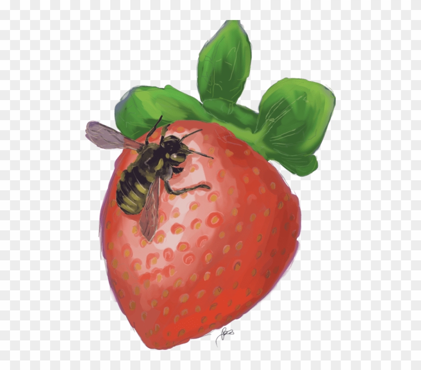 Strawberry Clipart #1150494