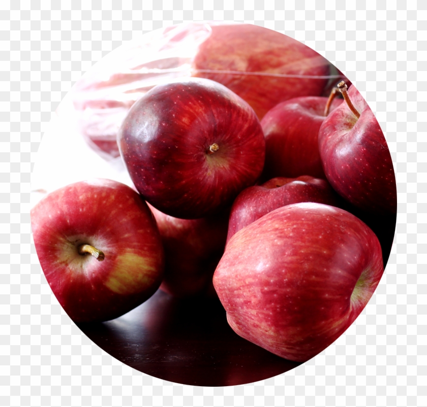 תפוחי עץ Clipart #1150580