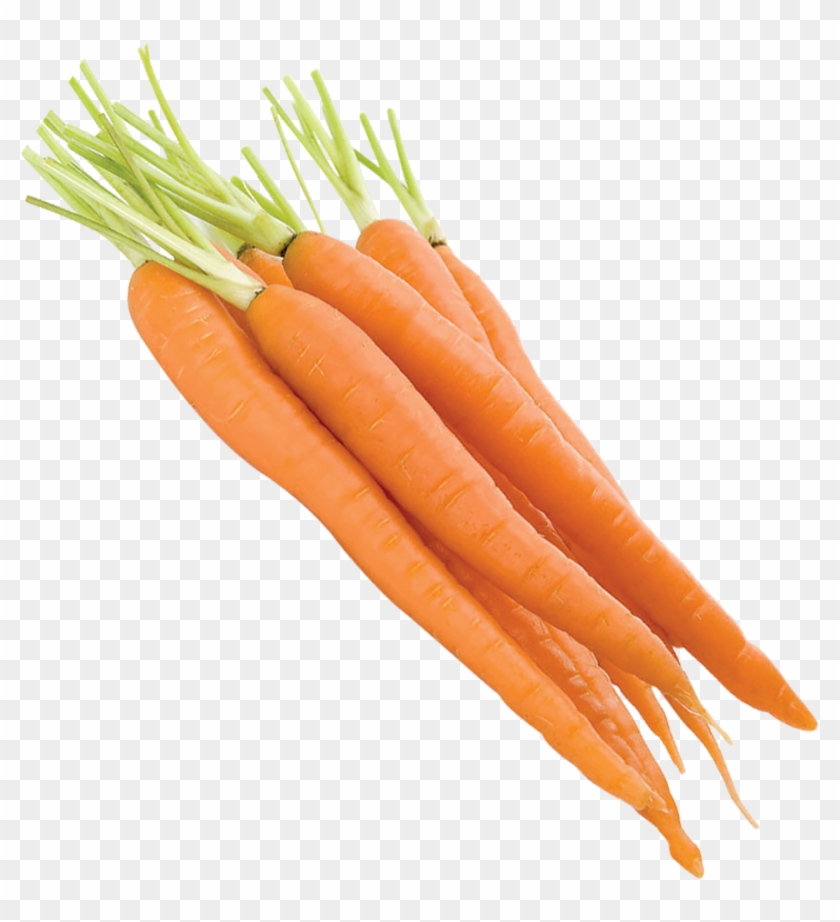 2480 X 2480 3 - Orange Vegetables Clipart #1150943