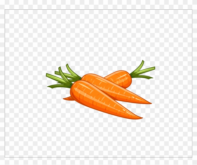 Graphic Free Download Carrot Clipart Zanahoria - Illustration Carrot Png Transparent Png #1151041