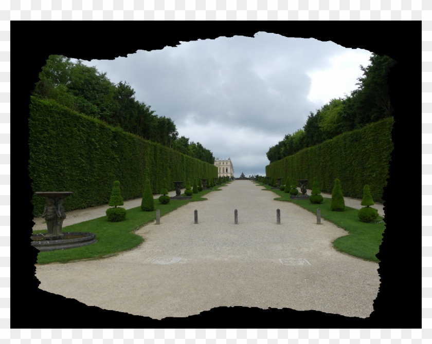 Spruce Clipart #1151813