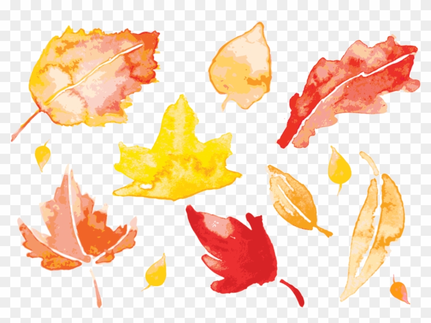 Banner Autumn Leaves Painting Leaf Transprent Png Free - Watercolor Fall Leaves Vector Clipart