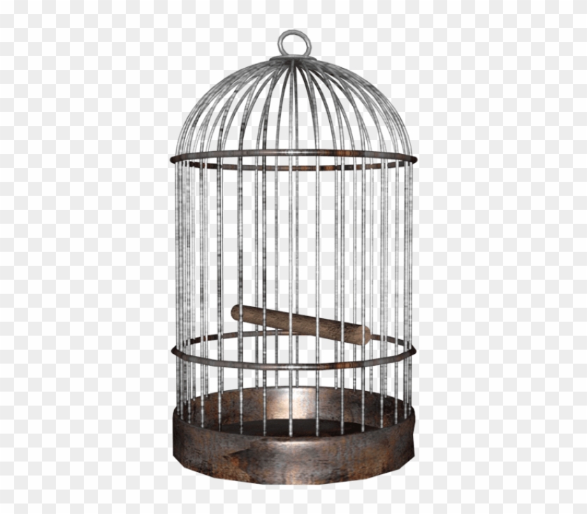 Free Png Download Bird Cage Png Images Background Png - Bird Cage Png Clipart #1151963