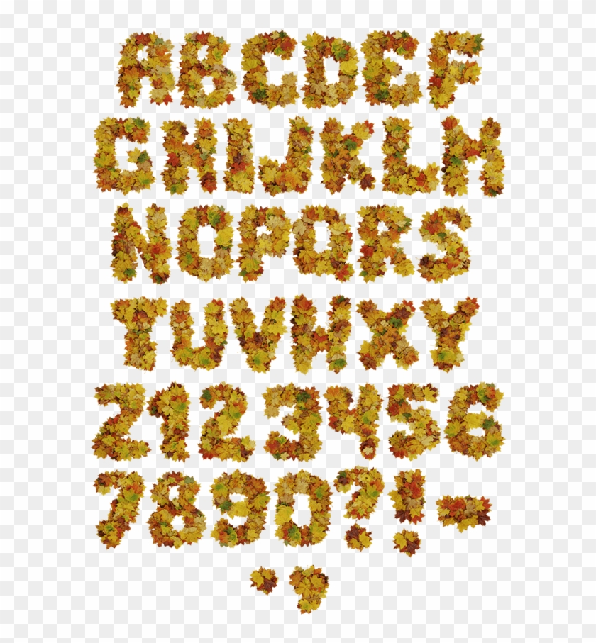 Autumn Leaves Font - Illustration Clipart #1151987