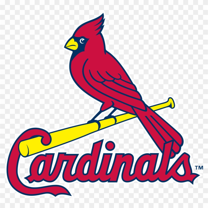 Louis Cardinals Logo - Saint Louis Cardinals Logo Png Clipart #1153805