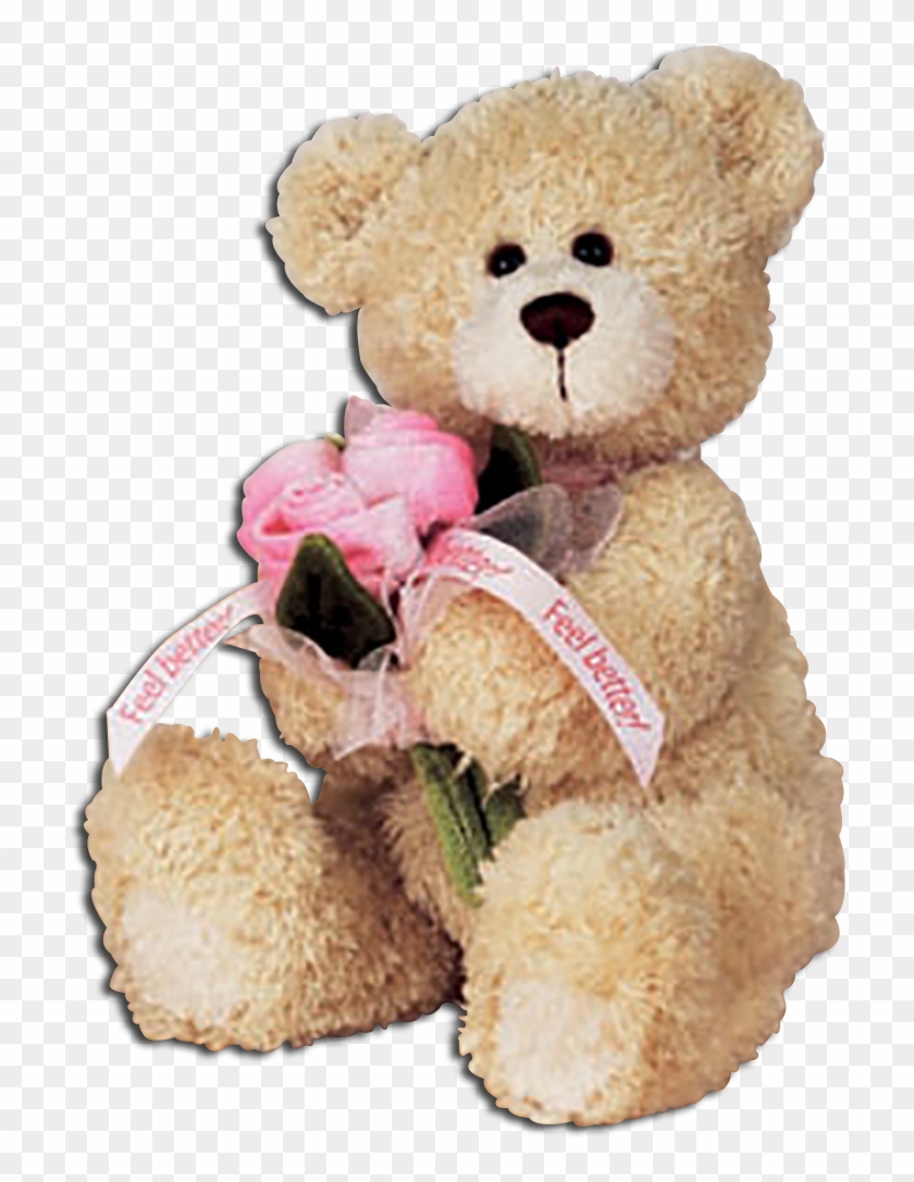 Gund Feel Better Teddy Bear With Pink Roses Clipart