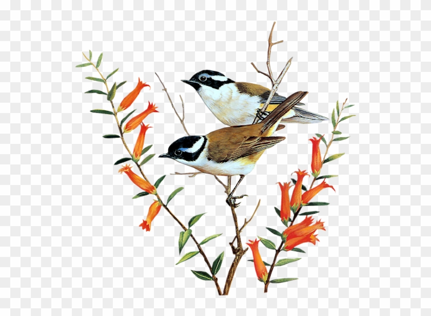 Biker - Salmo Do Dia 27 De Janeiro De 2019 Clipart