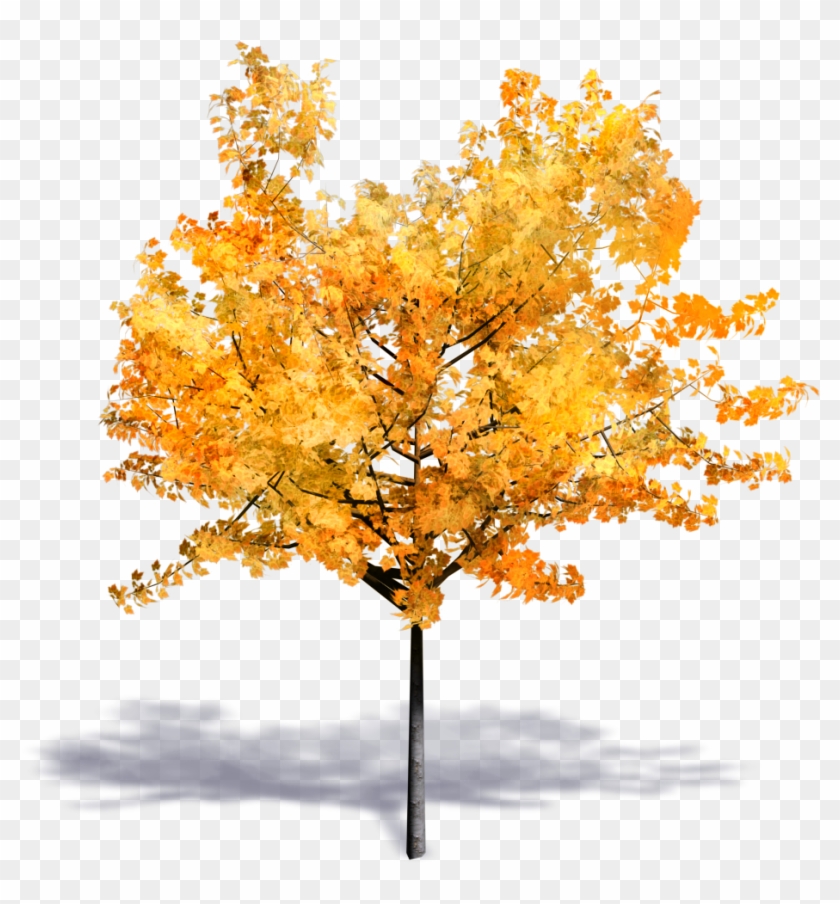 Generic Autumn Tree Clipart #1156318