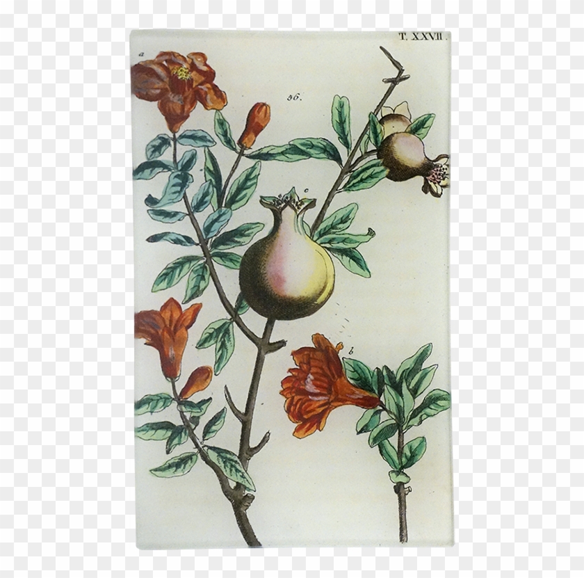 Gottlieb Tobias Wilhelm Clipart #1156827