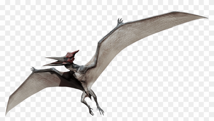 Pteranodon Jurassic Park Wiki Fandom Powered By - Jurassic World Dinosaurs Clipart #1158566