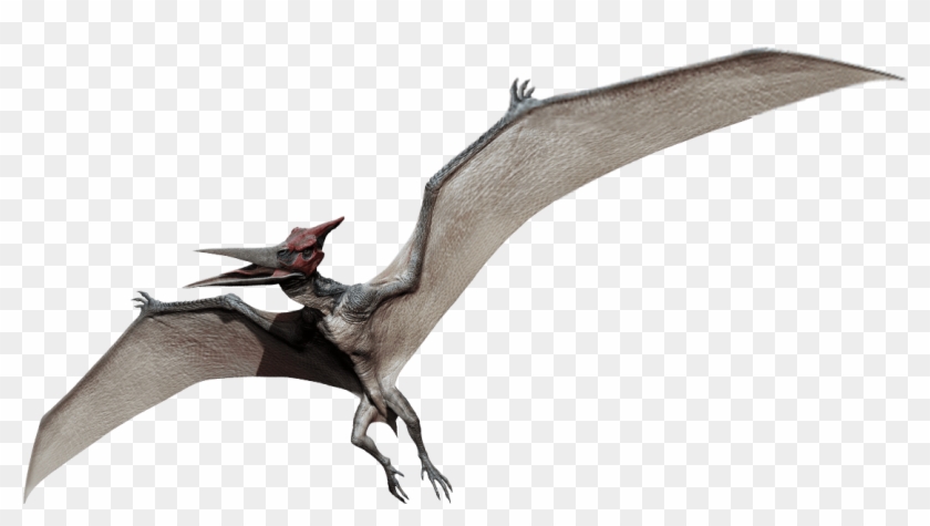 Pteranodon Jurassic Park Wiki Fandom Powered By - Jurassic World Dinosaurs Clipart