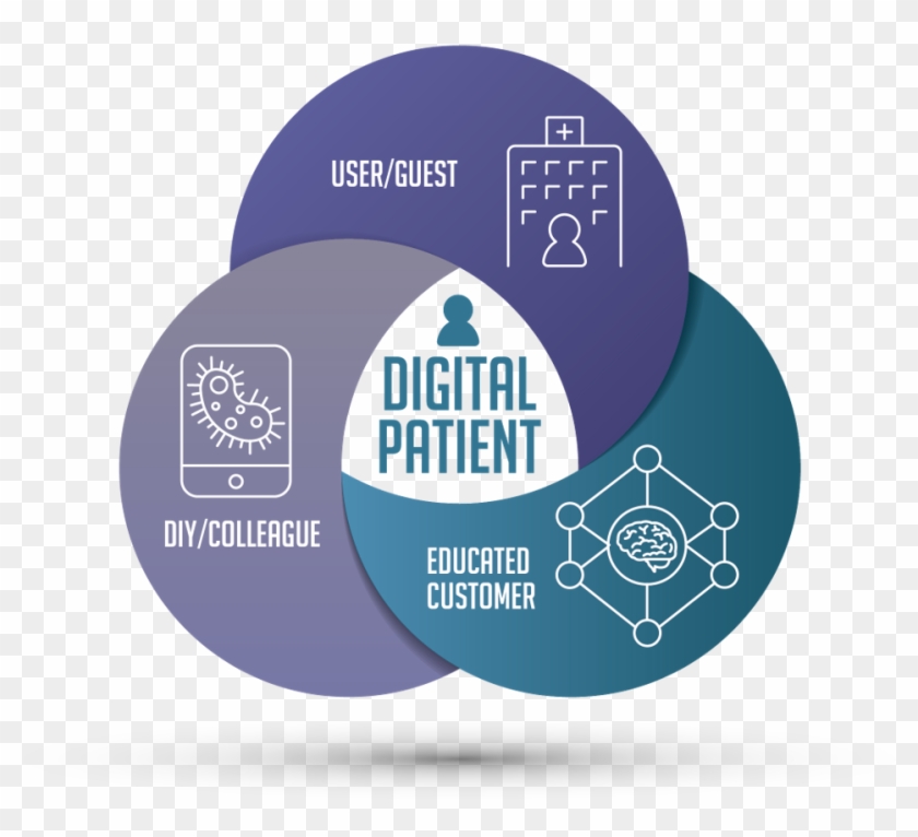 The Digital Patient Venn Diagram - Circle Clipart #1158984