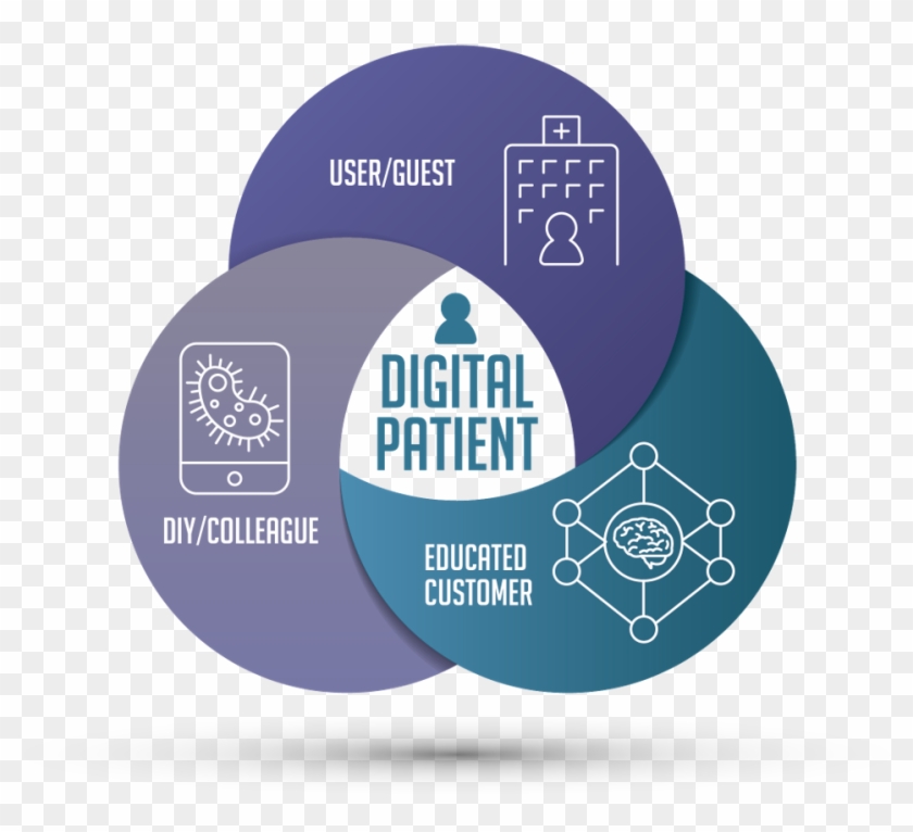 The Digital Patient Venn Diagram - Circle Clipart